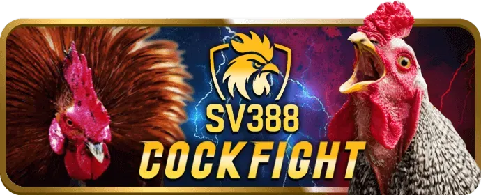Ưu đãi chào mừng dành cho người dùng mới tải ứng dụng VNDWIN Casino.