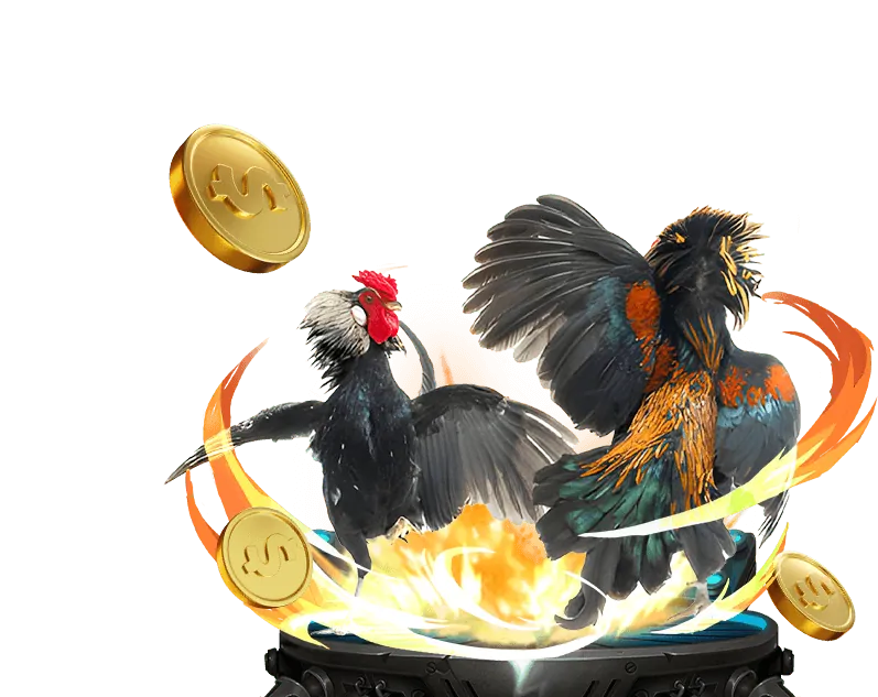 Tổng quan về Đá Gà Trực Tuyến tại VNDWIN Casino